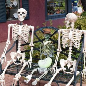 Halloween Skeleton (size: 170cm / 5.6ft)